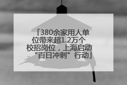 380余家用人单位带来超1.2万个校招岗位，上海启动“百日冲刺”行动