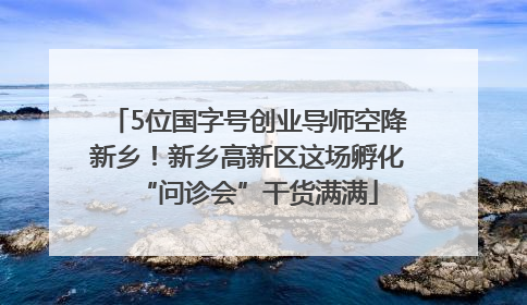 5位国字号创业导师空降新乡！新乡高新区这场孵化“问诊会”干货满满