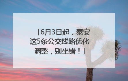 6月3日起，泰安这5条公交线路优化调整，别坐错！