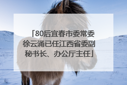 80后宜春市委常委徐云涌已任江西省委副秘书长、办公厅主任