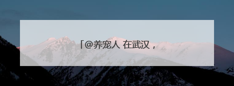 @养宠人 在武汉，宠物也可以坐高铁了