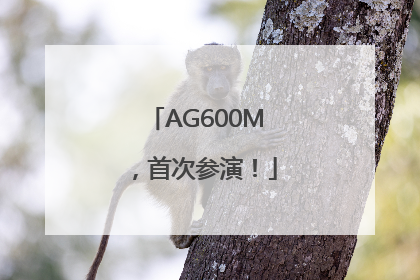 AG600M，首次参演！