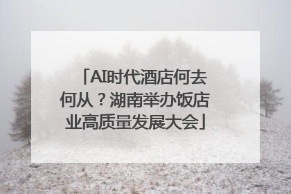 AI时代酒店何去何从？湖南举办饭店业高质量发展大会