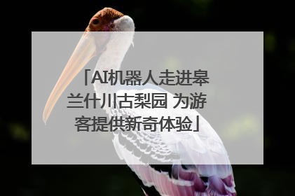 AI机器人走进皋兰什川古梨园 为游客提供新奇体验